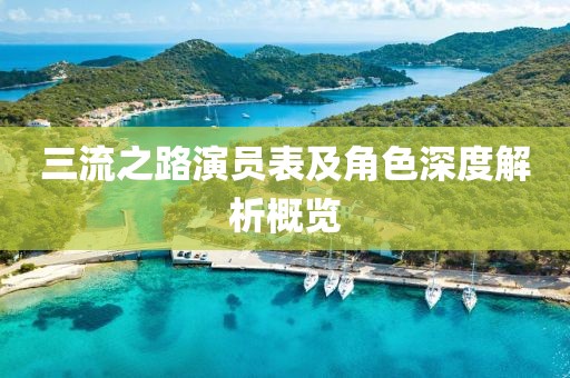 三流之路演员表及角色深度解析概览