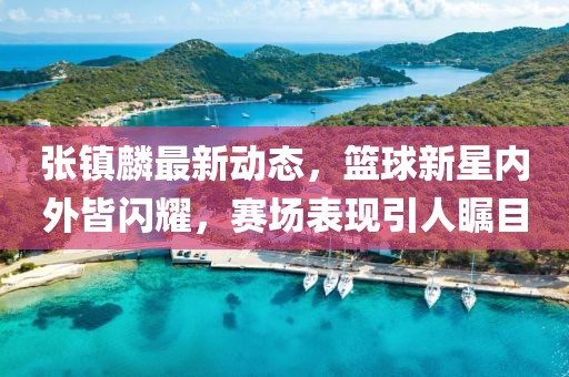 张镇麟最新动态，篮球新星内外皆闪耀，赛场表现引人瞩目
