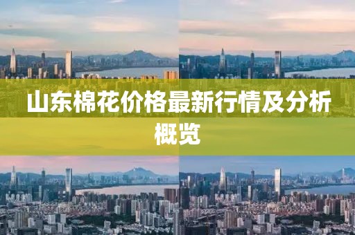 山东棉花价格最新行情及分析概览