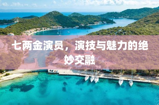 七两金演员，演技与魅力的绝妙交融