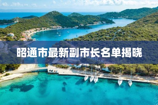 昭通市最新副市长名单揭晓
