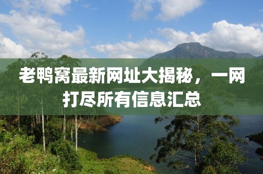 老鸭窝最新网址大揭秘，一网打尽所有信息汇总