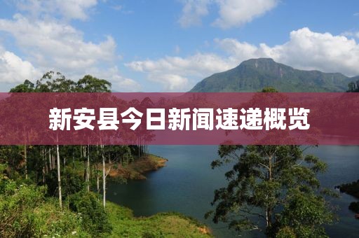 新安县今日新闻速递概览