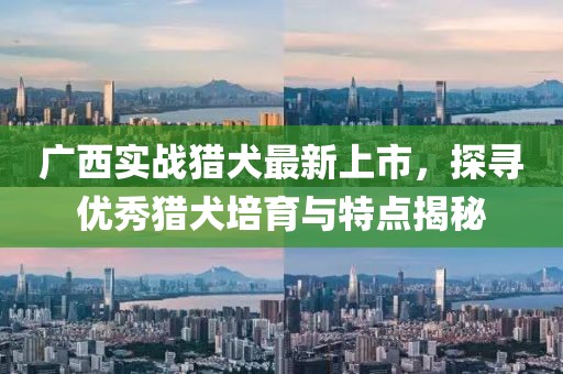 广西实战猎犬最新上市，探寻优秀猎犬培育与特点揭秘