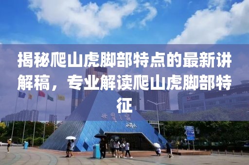 风中的歌声 第15页