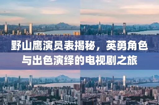 野山鹰演员表揭秘，英勇角色与出色演绎的电视剧之旅