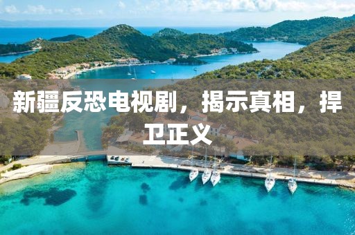 新疆反恐电视剧，揭示真相，捍卫正义