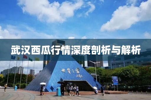 武汉西瓜行情深度剖析与解析