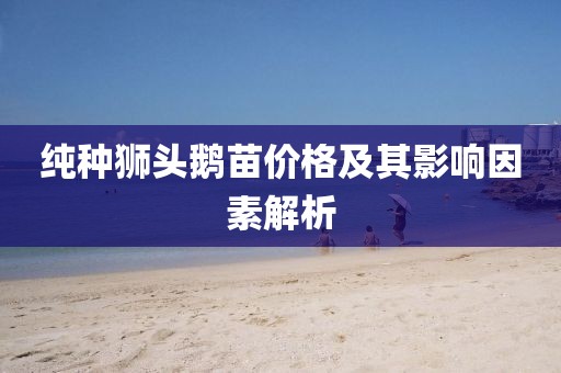 纯种狮头鹅苗价格及其影响因素解析