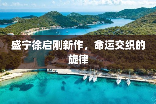 盛宁徐启刚新作，命运交织的旋律