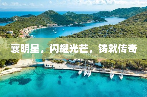 襄明星，闪耀光芒，铸就传奇