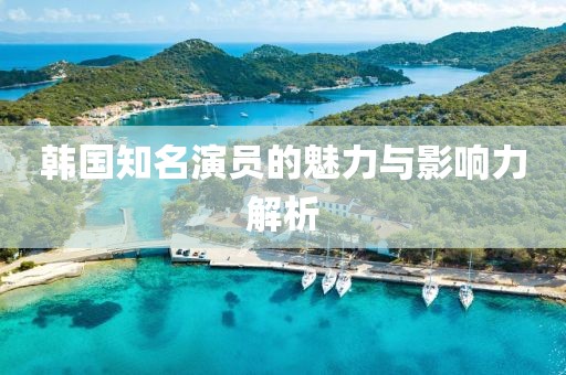 韩国知名演员的魅力与影响力解析