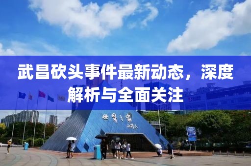 武昌砍头事件最新动态，深度解析与全面关注