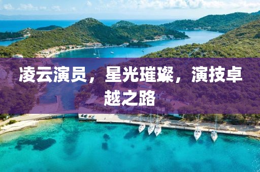 凌云演员，星光璀璨，演技卓越之路