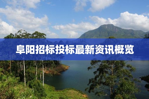 阜阳招标投标最新资讯概览
