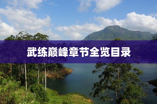 武练巅峰章节全览目录