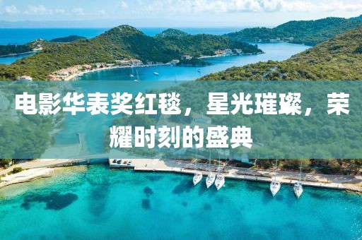 电影华表奖红毯，星光璀璨，荣耀时刻的盛典