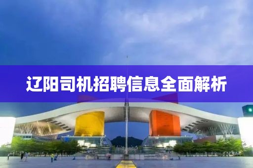 辽阳司机招聘信息全面解析