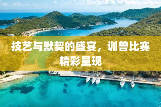 技艺与默契的盛宴，训兽比赛精彩呈现
