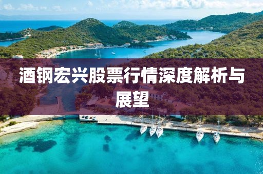 酒钢宏兴股票行情深度解析与展望