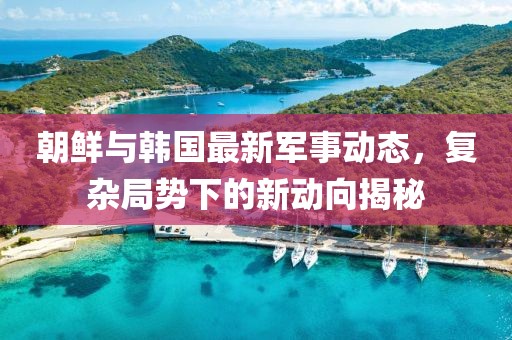 朝鲜与韩国最新军事动态，复杂局势下的新动向揭秘