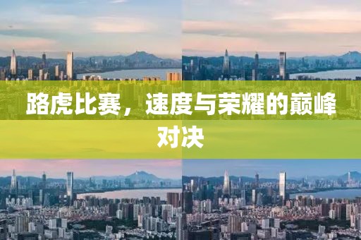 路虎比赛，速度与荣耀的巅峰对决