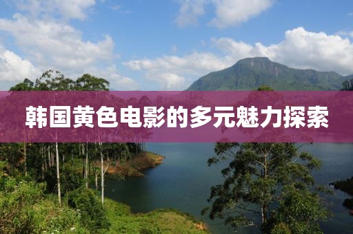 韩国黄色电影的多元魅力探索
