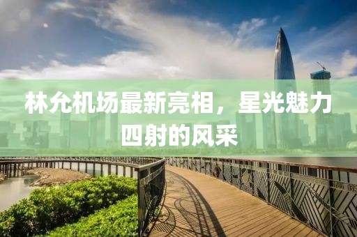 林允机场最新亮相，星光魅力四射的风采