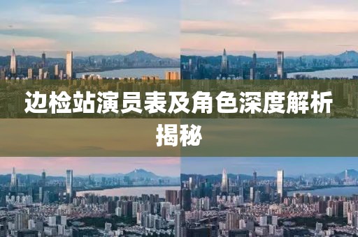 边检站演员表及角色深度解析揭秘
