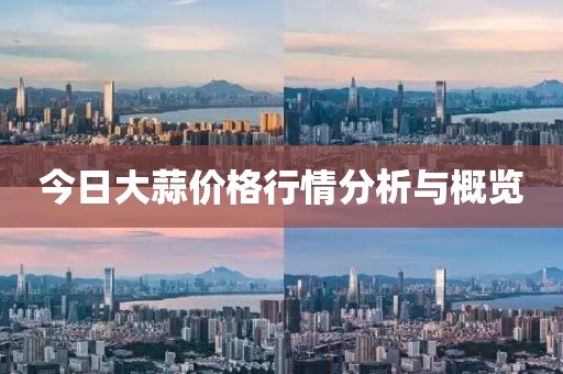今日大蒜价格行情分析与概览