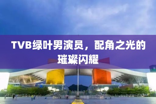 TVB绿叶男演员，配角之光的璀璨闪耀