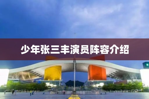 少年张三丰演员阵容介绍