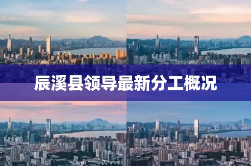 辰溪县领导最新分工概况