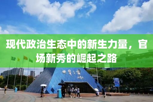 现代政治生态中的新生力量，官场新秀的崛起之路