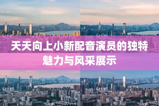 天天向上小新配音演员的独特魅力与风采展示