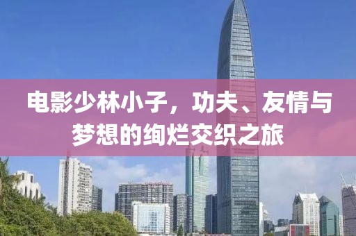 电影少林小子，功夫、友情与梦想的绚烂交织之旅