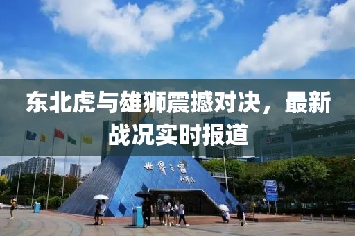 东北虎与雄狮震撼对决，最新战况实时报道