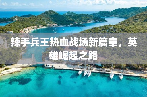 辣手兵王热血战场新篇章，英雄崛起之路