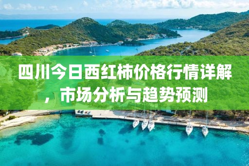 四川今日西红柿价格行情详解，市场分析与趋势预测