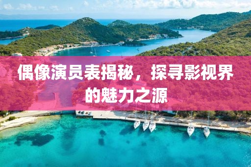 偶像演员表揭秘，探寻影视界的魅力之源
