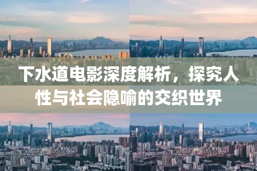下水道电影深度解析，探究人性与社会隐喻的交织世界