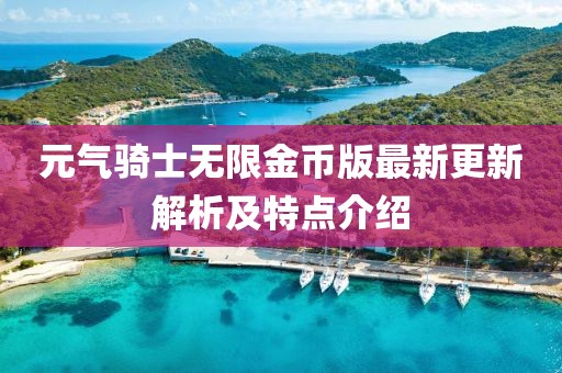 元气骑士无限金币版最新更新解析及特点介绍