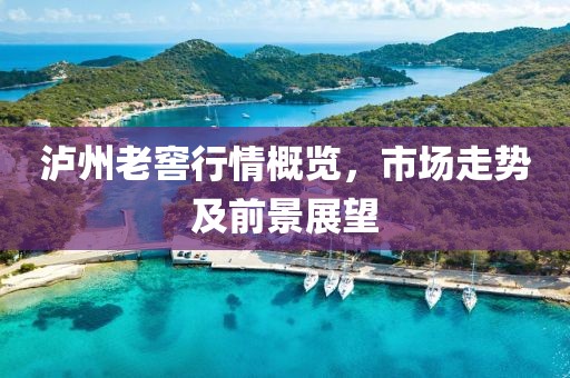 泸州老窖行情概览，市场走势及前景展望