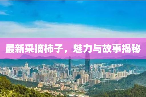 最新采摘柿子，魅力与故事揭秘