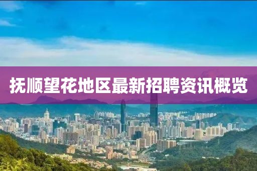 抚顺望花地区最新招聘资讯概览