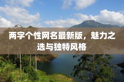 两字个性网名最新版，魅力之选与独特风格