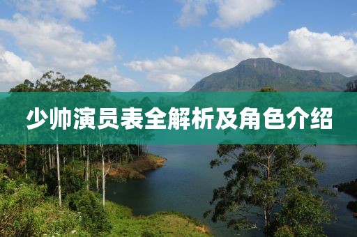 少帅演员表全解析及角色介绍