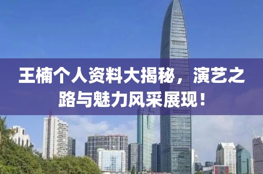 王楠个人资料大揭秘，演艺之路与魅力风采展现！