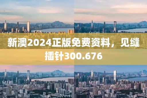 新澳2024正版免费资料，见缝插针300.676