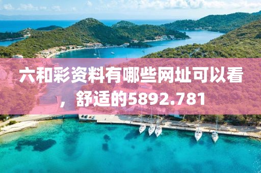 六和彩资料有哪些网址可以看，舒适的5892.781